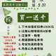 端午節優惠